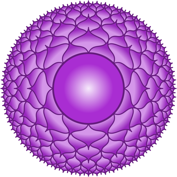 Sahasrara, le chakra couronne